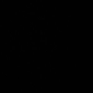 FREE SHIPPING ON ALL BUNDLES